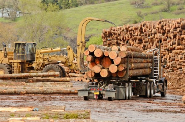 Associated Loggers Associated Loggers