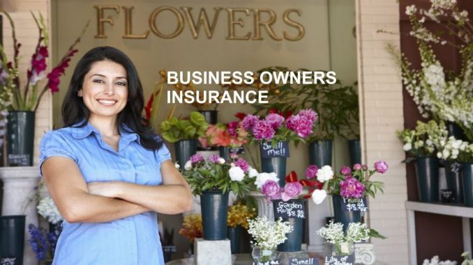 Business Owners Insurance