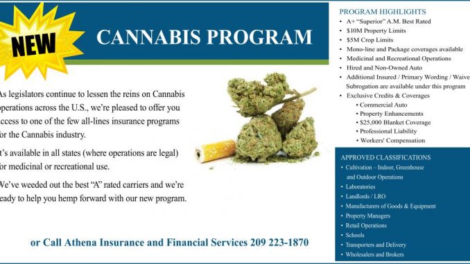 marijuana-post-hull-860x550