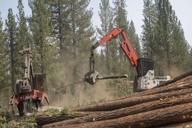 logging insurance